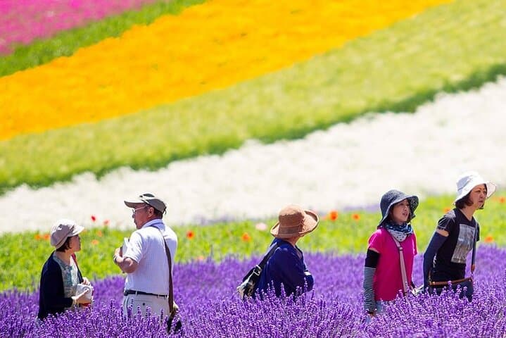 Blue Pond & Lavender Fields: Full-Day Furano and Biei Tour from Sapporo photo 5