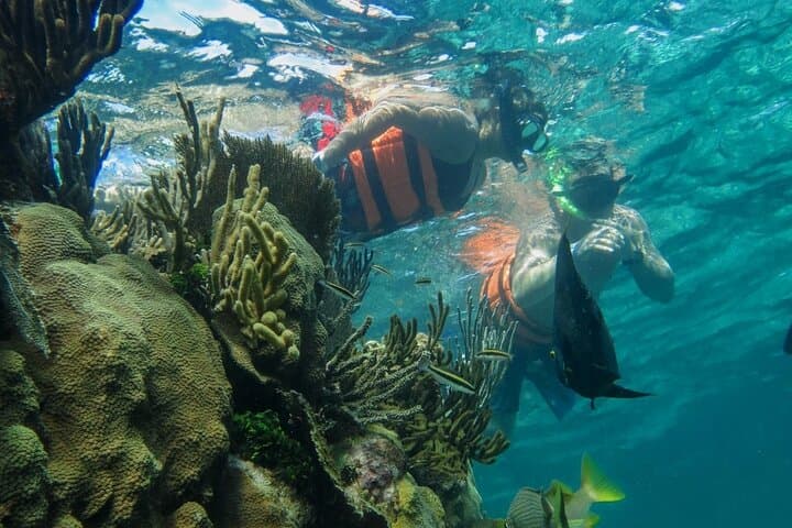 Private Cancun Boat Trip to Isla Mujeres — Snorkel Turquoise Reefs & North Beach Relaxation photo 6