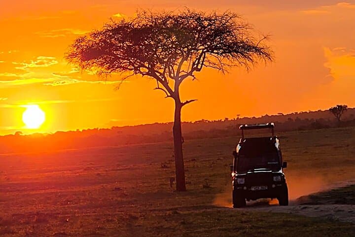 Maasai Mara Safari: 3-Day Big Five Game Drive & Wildlife Experience photo 5