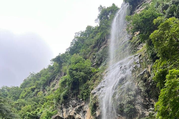 Maracas Waterfall Hike — Easy Trail to Trinidad's Highest Falls photo 2