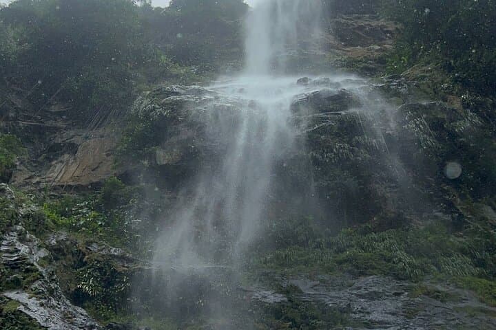 Maracas Waterfall Hike — Easy Trail to Trinidad's Highest Falls