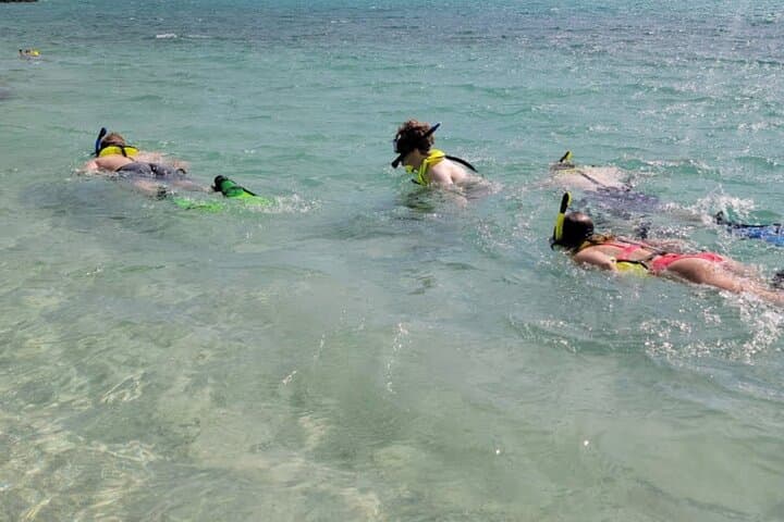 St Maarten Speed-Boat Snorkel Day Trip to Creole Rock, Tintamarre & Pinel photo 3