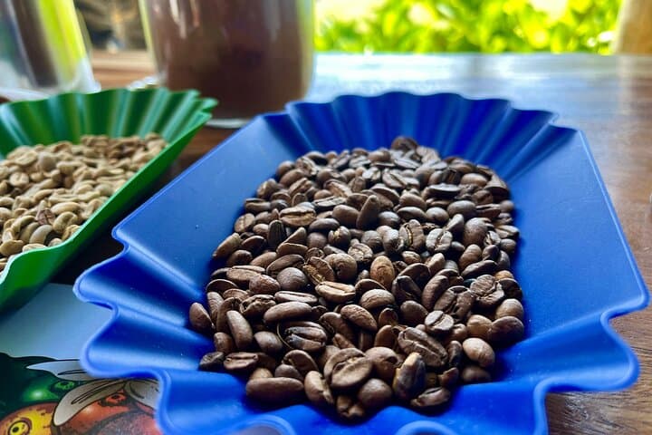 Coffee and Mountains: Personal Coffee Farm Experience in Puerto Plata