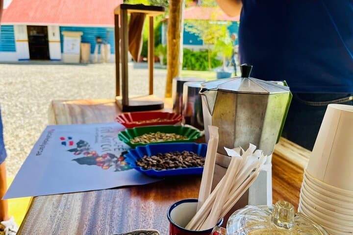 Coffee and Mountains: Personal Coffee Farm Experience in Puerto Plata photo 3
