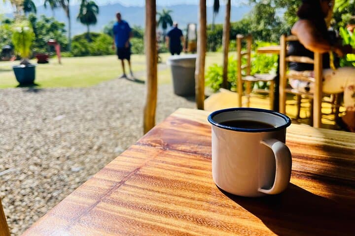 Coffee and Mountains: Personal Coffee Farm Experience in Puerto Plata photo 4