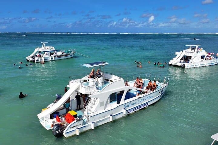 Caribbean Rhythms: Private Booze Cruise in Punta Cana