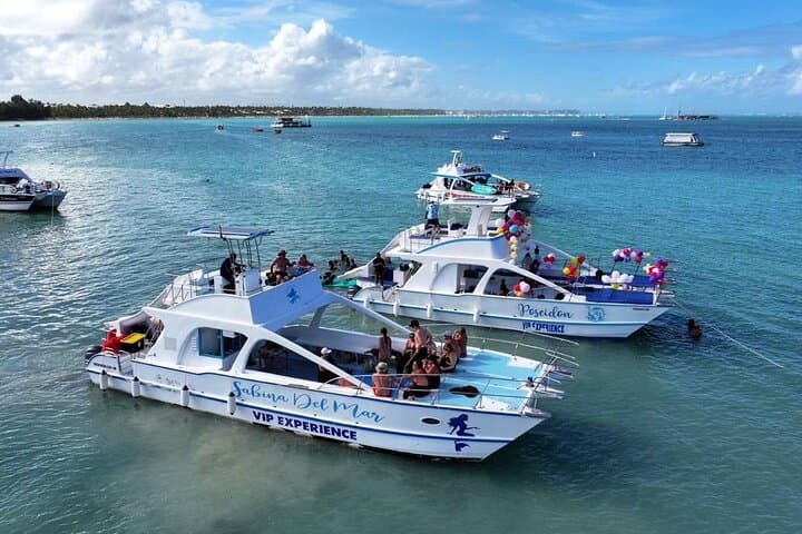 Caribbean Rhythms: Private Booze Cruise in Punta Cana photo 2