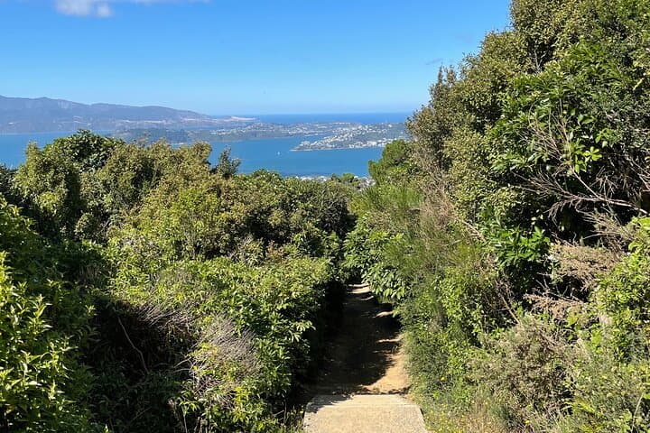 Wild Skyline Guided Hike: Makara Road to Khandallah, Wellington photo 4