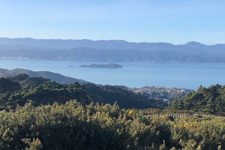 Wild Skyline Guided Hike: Makara Road to Khandallah, Wellington photo 5
