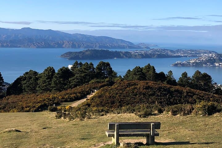 Wild Skyline Guided Hike: Makara Road to Khandallah, Wellington