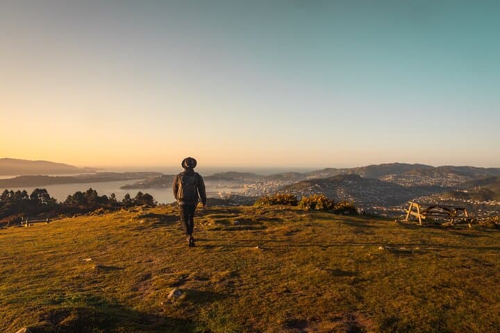 Wild Skyline Guided Hike: Makara Road to Khandallah, Wellington photo 2