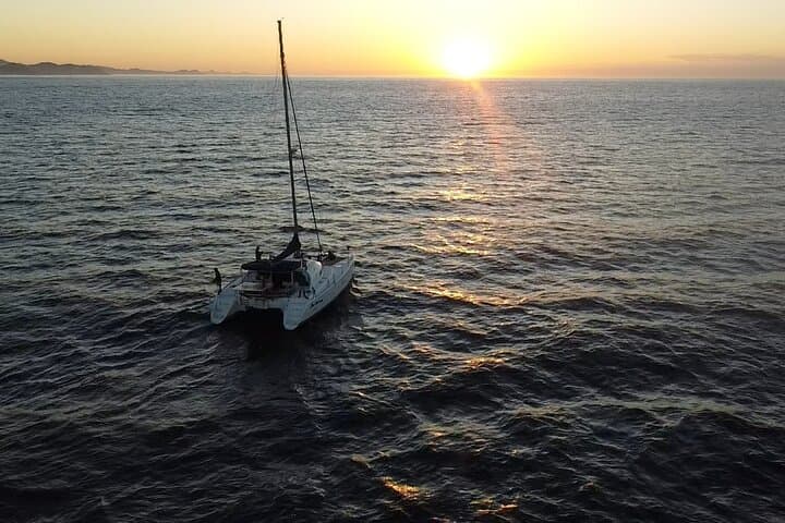 Cabo San Lucas Sunset Catamaran Cruise with Open Bar — Cabo Arch & Sea Lion Views