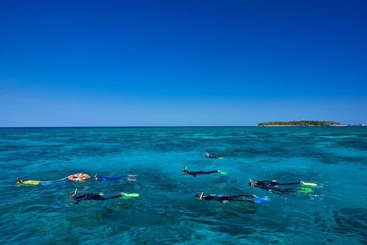 Green Island Full-Day Tour from Cairns — Snorkeling & Diving on the Great Barrier Reef photo 2