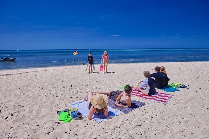 Green Island Full-Day Tour from Cairns — Snorkeling & Diving on the Great Barrier Reef photo 3
