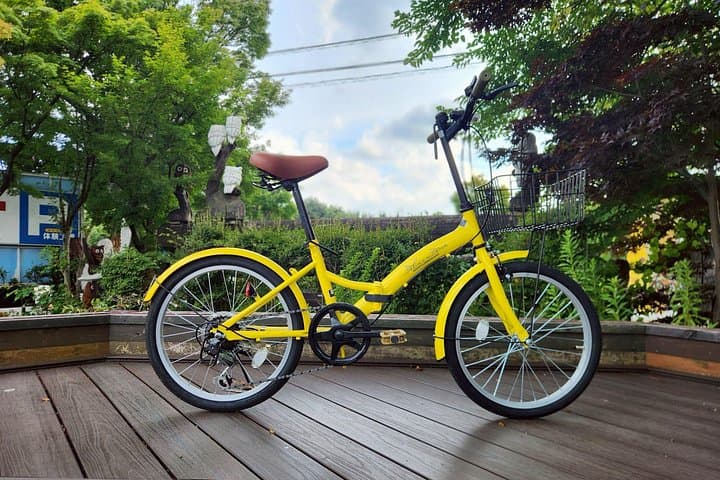 One-Day Bike Rental at Lake Kawaguchi — Cycle Around Mt. Fuji's Scenic Shore photo 3