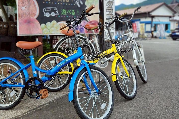 One-Day Bike Rental at Lake Kawaguchi — Cycle Around Mt. Fuji's Scenic Shore photo 2