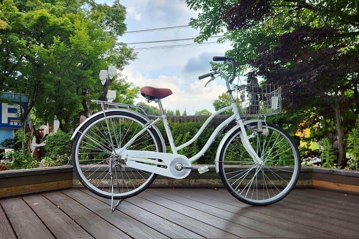 One-Day Bike Rental at Lake Kawaguchi — Cycle Around Mt. Fuji's Scenic Shore photo 4