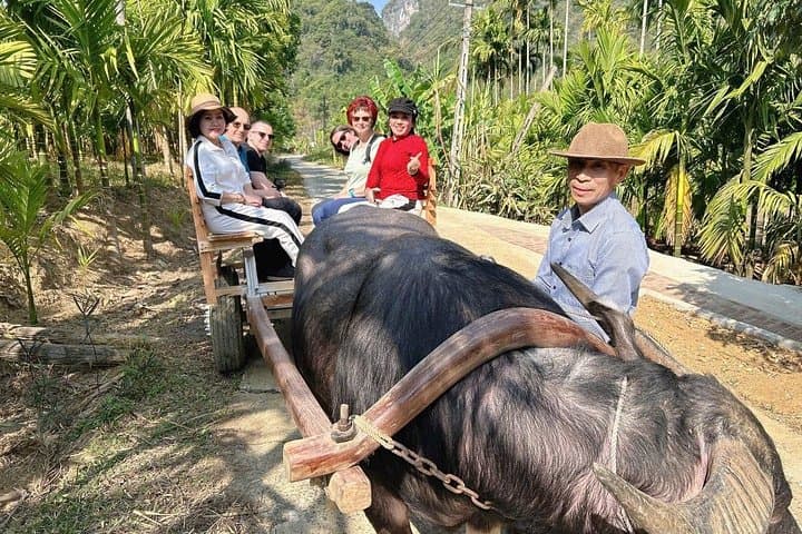 Pu Luong 3-Day Trek: Rice Terraces, Bamboo Rafting & Buffalo Cart Experience photo 3