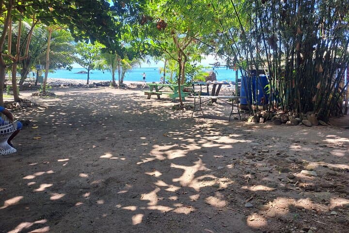 Snorkel Champagne Reef & Scott's Head Sulphur Baths — Panoramic Shore Snorkel Tour photo 3