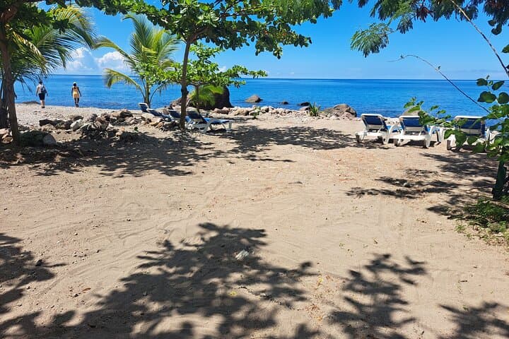 Snorkel Champagne Reef & Scott's Head Sulphur Baths — Panoramic Shore Snorkel Tour photo 5