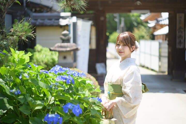 Kimono Rental & Tea Ceremony in Inuyama: Wear a Kimono, Make Matcha, Explore Castle Town photo 3