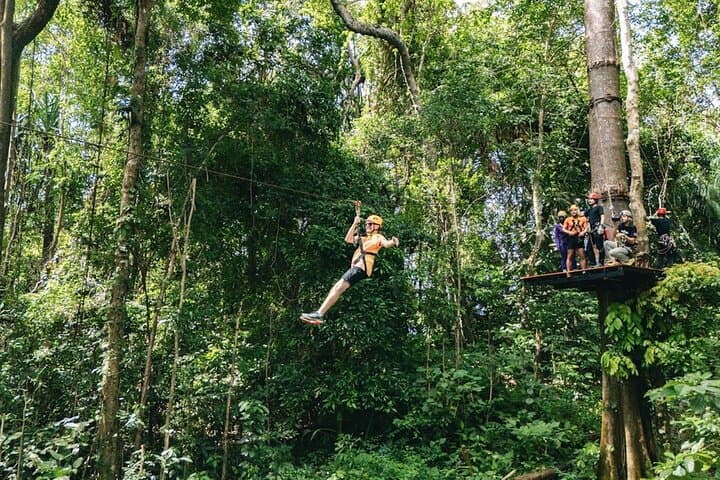 Khaolak Ethical Elephant Sanctuary and Jungle Zipline Adventure: Zip Canopy & Hands-Off Wildlife Experience