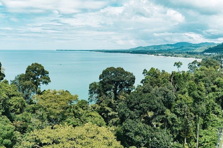 Khaolak Ethical Elephant Sanctuary and Jungle Zipline Adventure: Zip Canopy & Hands-Off Wildlife Experience photo 4