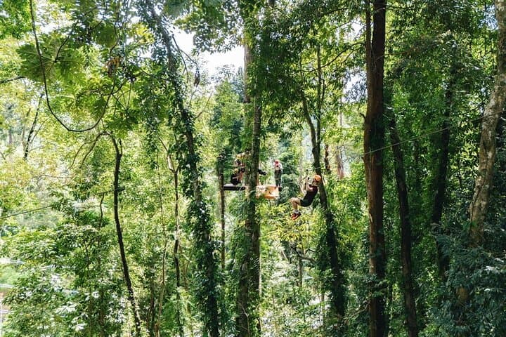 Khaolak Ethical Elephant Sanctuary and Jungle Zipline Adventure: Zip Canopy & Hands-Off Wildlife Experience photo 5