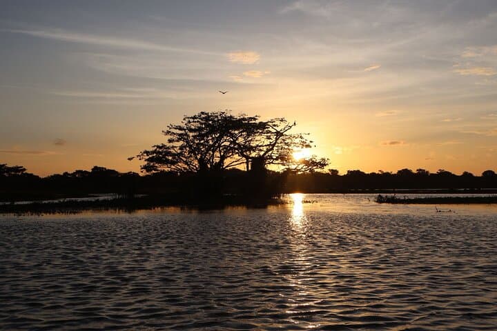 Paddle Sigiriya: Sunrise & Sunset Kayaking on Thalkote Wewa photo 2