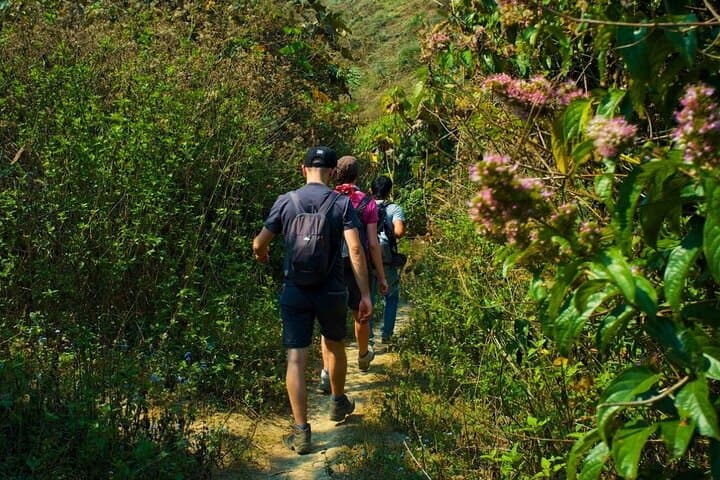 Luang Prabang Mountain Trek to Kuang Si Waterfall — Day Hike, Swim & Bear Rescue Visit photo 2