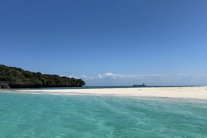 Blue Safari Tour: Menai Bay Snorkel, Sandbank & Island BBQ photo 5