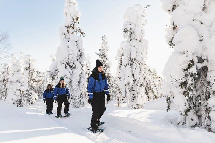 Arctic Circle Snowshoeing: Wilderness Tour from Rovaniemi