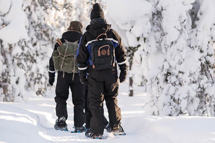 Arctic Circle Snowshoeing: Wilderness Tour from Rovaniemi photo 2