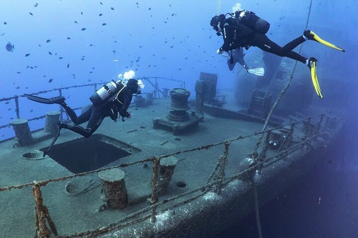 Dive the Afonso Cerqueira Wreck: Madeira's Accessible Artificial Reef photo 3
