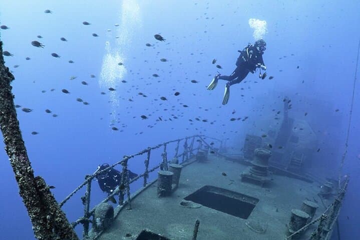Dive the Afonso Cerqueira Wreck: Madeira's Accessible Artificial Reef photo 6