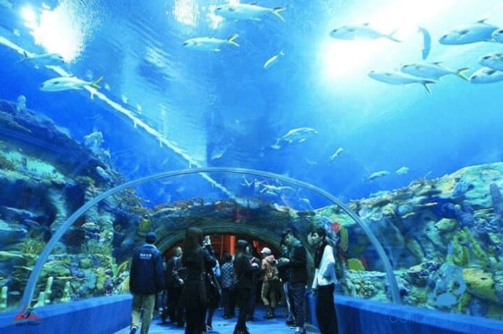 Private Nha Trang Shore Excursion: Po Nagar, Long Son & Marine Museum photo 6