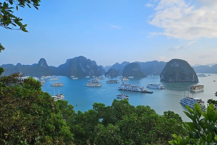 Halong Bay Luxury Day Cruise from Hanoi — All-Inclusive Guide