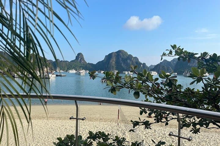 Halong Bay Luxury Day Cruise from Hanoi — All-Inclusive Guide photo 5