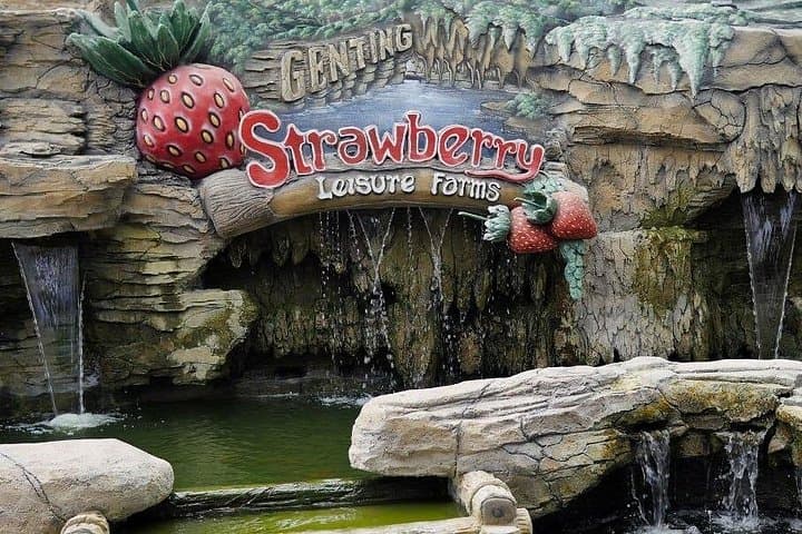 Genting Highlands & Batu Caves Full-Day Tour: Cable Car, Temple Steps & Outlet Shopping photo 3