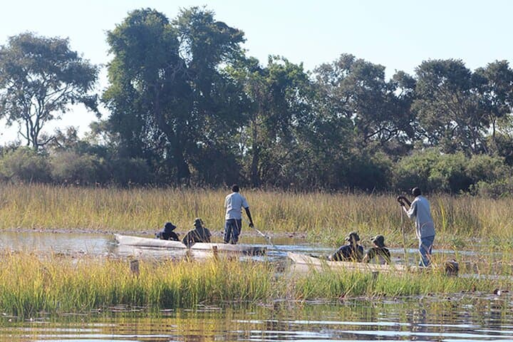 7-Day Expedition: Okavango, Moremi & Central Kalahari Safari photo 5