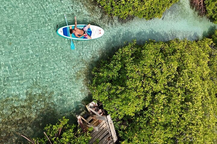 Private Snorkel Tour at Mangel Halto and Reef Island — Aruba Mangrove & Marine Life photo 2