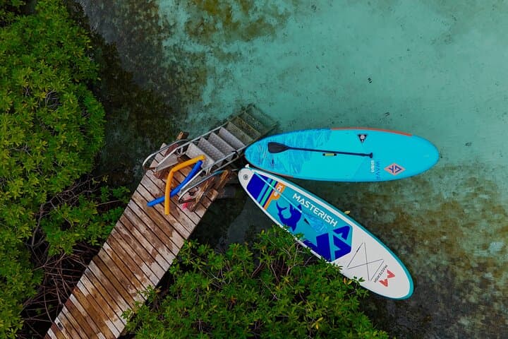 Private Snorkel Tour at Mangel Halto and Reef Island — Aruba Mangrove & Marine Life photo 3