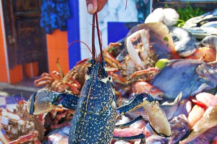 Essaouira Day Trip from Marrakech: Medina, Skala & Atlantic Coast Views photo 3