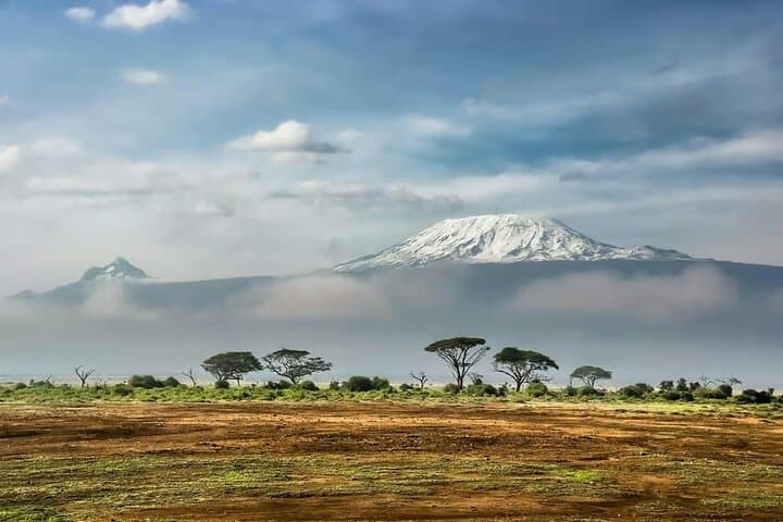 Amboseli Day Safari from Nairobi: Kilimanjaro Views, Elephants & Maasai Village photo 2