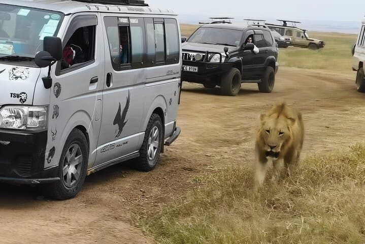 Amboseli Day Safari from Nairobi: Kilimanjaro Views, Elephants & Maasai Village photo 6