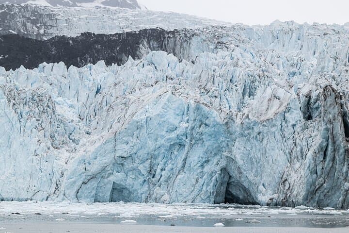 Glacier Bay Day Tour: Tidewater Glaciers, Whales & Ranger-Narrated Cruise photo 4