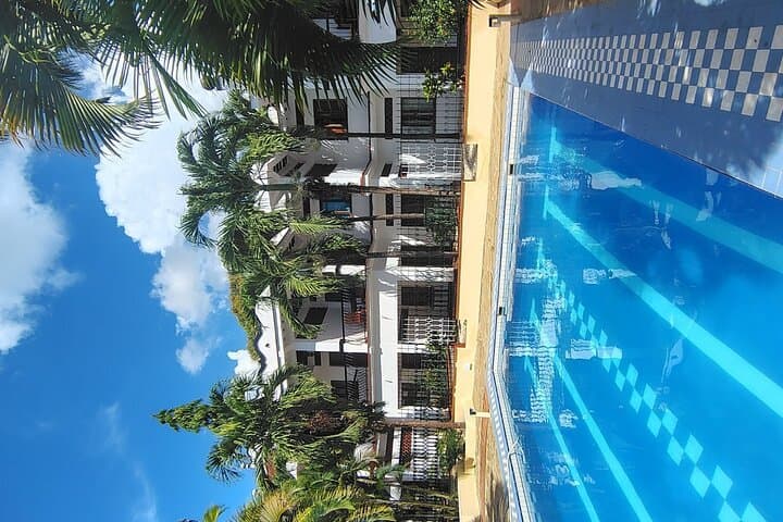 7-Day Diani Beach Adventure: Snorkel Dolphins, Mangroves & Kongo River photo 4