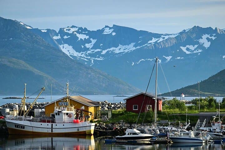 Arctic Fjords & Island Road Trip from Tromsø — Small-Group Scenic Tour photo 4