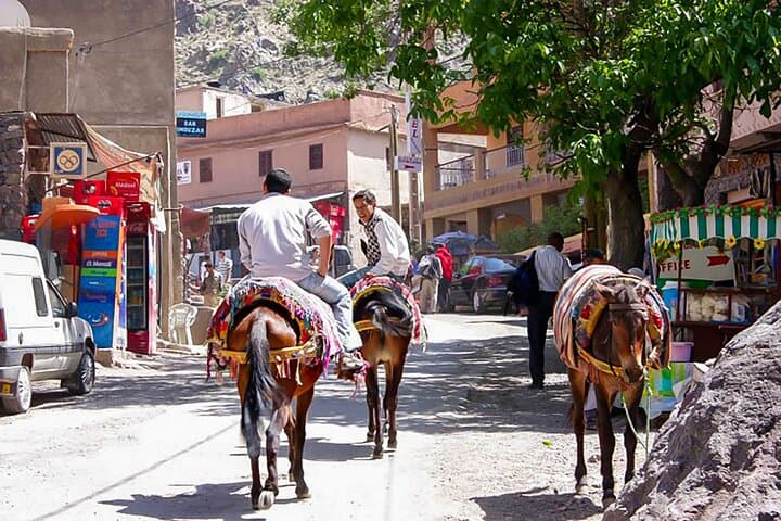 Imlil Day Trip from Marrakech: Camel Ride, Berber Village & Atlas Trek photo 5