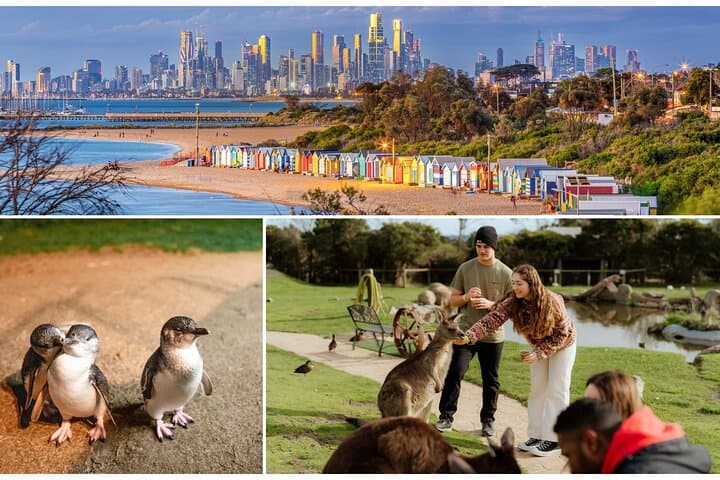 Melbourne Penguin Parade, Maru Koala Park & Brighton Bathing Boxes Day Tour